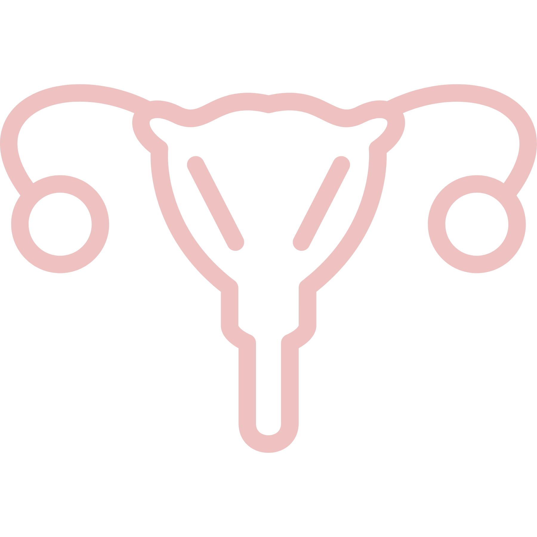 涵恩婦產科診所 - 台中/新竹/竹北 頻尿急尿與膀胱過動症治療權威女醫師團隊