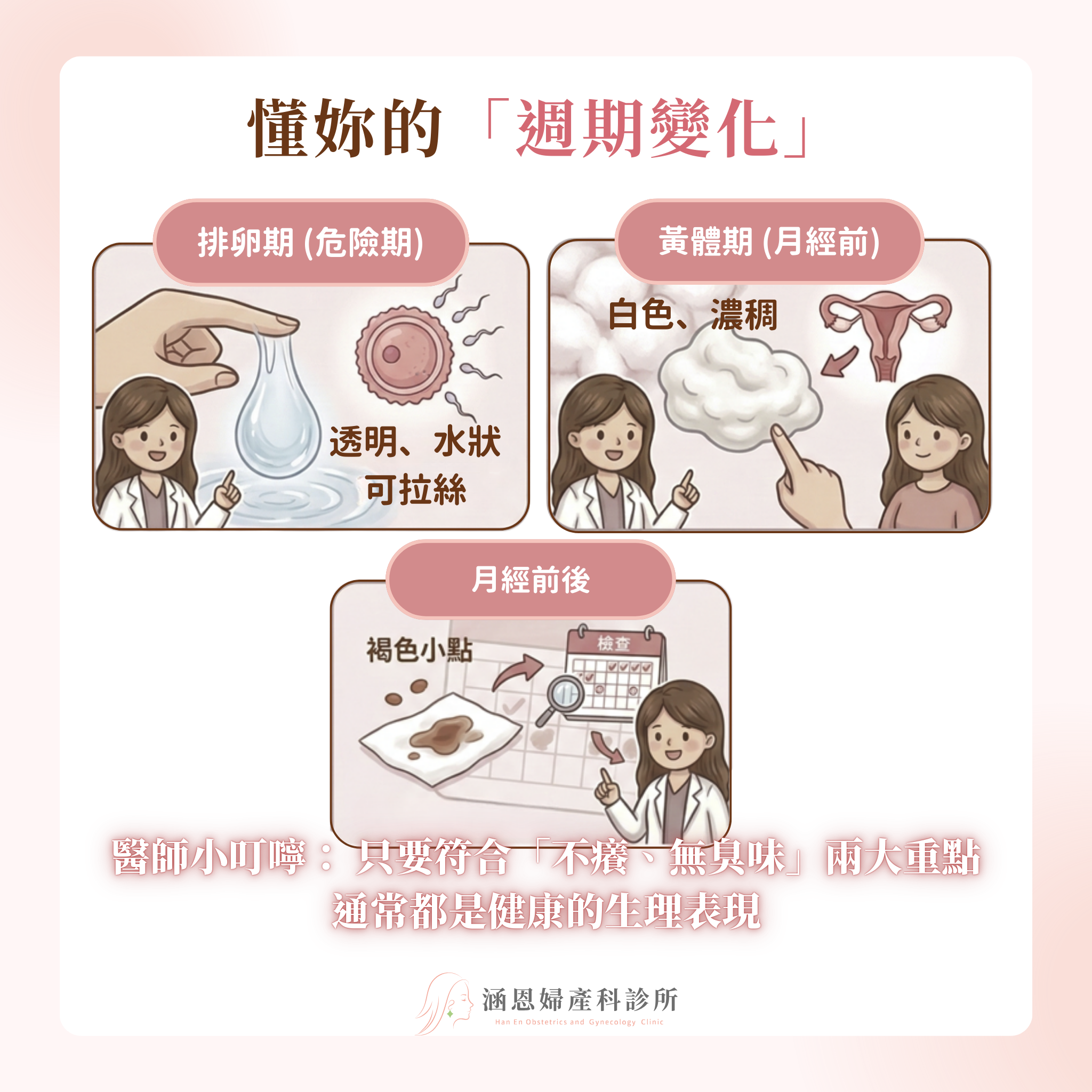 陰道微生態乳酸桿菌防禦戰與生理週期分泌物變化解析