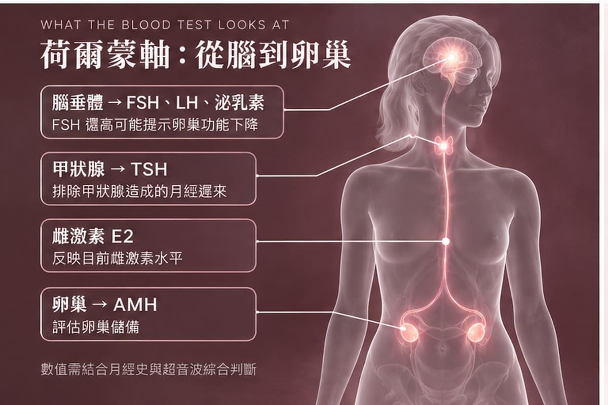 亞洲華裔女醫師白袍戴眼鏡，溫柔地與坐在診間的女性患者說明荷爾蒙報告，桌上有平板電腦